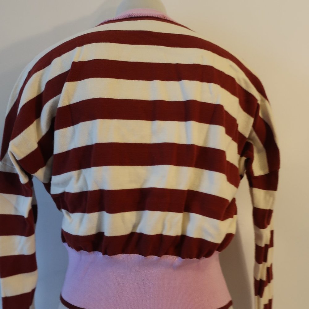 Striped Pink and Maroon Cropped Knit Top - Picture 4 of 7